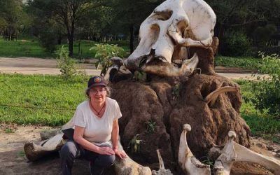 Tarangire y sus elefantes